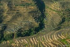 Rice Terraces Rice Terraces