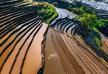 Yuanyang rice terraces #22