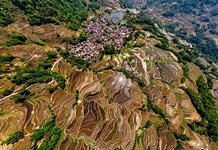 Yuanyang rice terraces #20