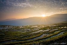 Rice Terraces Rice Terraces