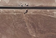 Nazca Lines. Tree and Hands