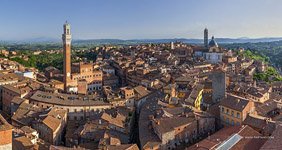 Bird's-eye view of Siena #15