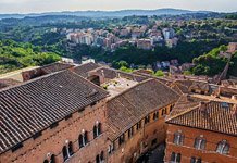 Bird's-eye view of Siena #17