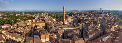 Bird's-eye view of Siena #16