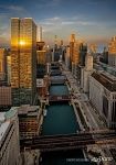 Chicago in golden hour 1