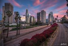 Los Angeles #12