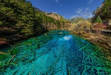 Jiuzhaigou #21