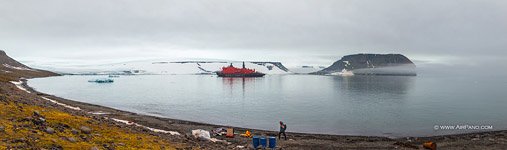 At the Hooker Island