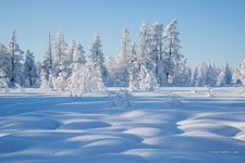 Kamchatka in winter #1