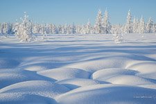 Kamchatka in winter #2