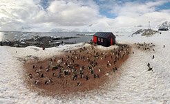 Penguins at the Port Lockroy