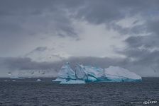 Iceberg Iceberg