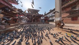 Pigeons in Kathmandu