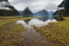 Mitre Peak, Miford Sound, Fiordland #3