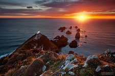 Nugget Point at sunrise