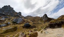 National Park Fiordland, Rod Point from the ground National Park Fiordland, Rod Point from the ground