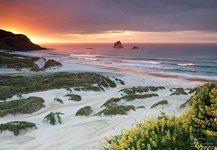 Sandfly Bay, Otago Peninsula #3