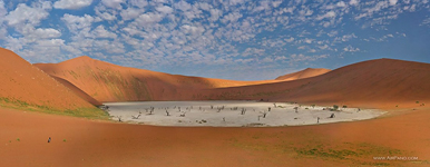 Deadvlei #5