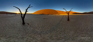 Dead acacia trees in Deadvlei