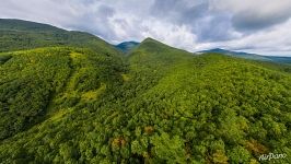 Above forests of Sakhalin Island