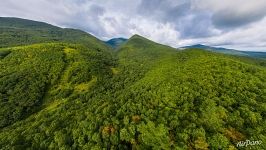 Above forests of Sakhalin Island Above forests of Sakhalin Island