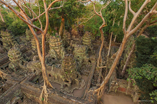 Ta Prohm temple, Angkor, Cambodia #3