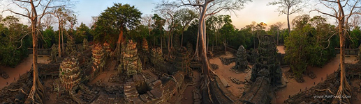 Ta Prohm temple, Angkor, Cambodia #1