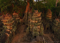 Ta Prohm temple, Angkor, Cambodia #7