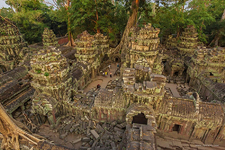 Ta Prohm temple, Angkor, Cambodia #9