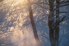 Winter at Pekhorka River, Moscow Oblast, Russia