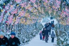 New Year in Moscow