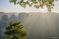 Zhangjiajie National Forest Park Zhangjiajie National Forest Park