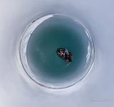 Svalbard. Planet