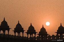 Silhouettes of the mosque