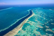 The Great Barrier Reef #34