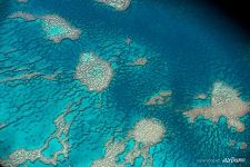 The Great Barrier Reef #33