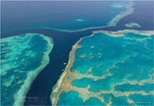 The Great Barrier Reef #8