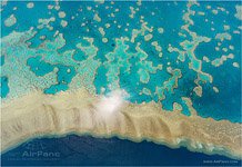 The Great Barrier Reef #10