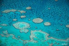The Great Barrier Reef #37