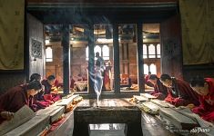 Praying nuns Praying nuns