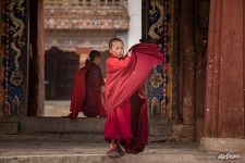 Young monks, Gangtey Gonpa