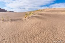 Hongoryn Els ("Singing Sands")