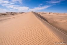 Khongoryn Els sand dunes Khongoryn Els sand dunes