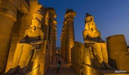 Colossuses. Luxor Temple