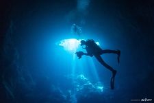 Diver Diver