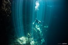 Cenote diving Cenote diving
