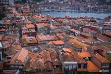 Roofs of Porto