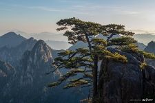 In Huangshan mountains