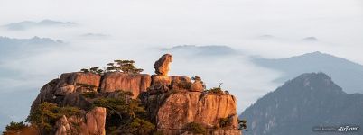 Stone Monkey Gazing Over the Sea of Clouds Stone Monkey Gazing Over the Sea of Clouds