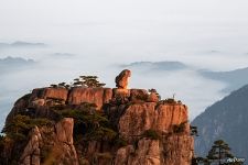 Stone Monkey Gazing Over the Sea of Clouds